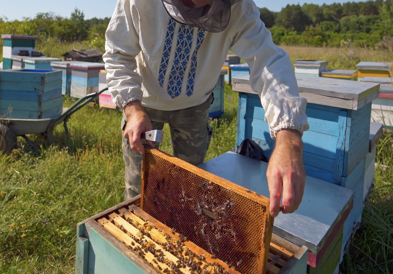 Beekeeping